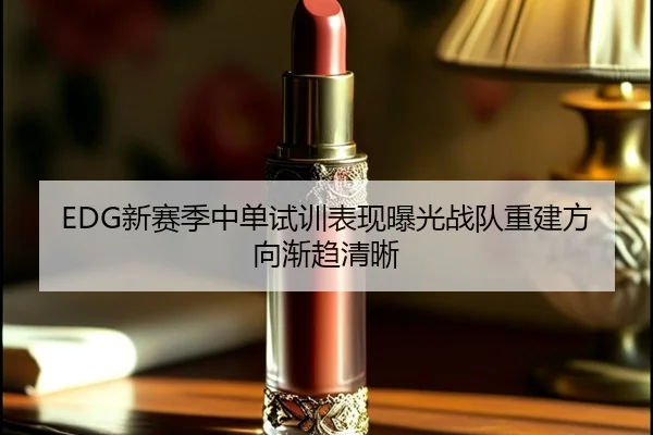 EDG新赛季中单试训表现曝光战队重建方向渐趋清晰